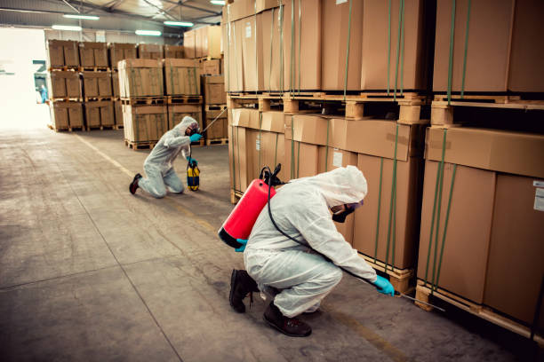 Best Pest Control Near Me  in Bridgman, MI