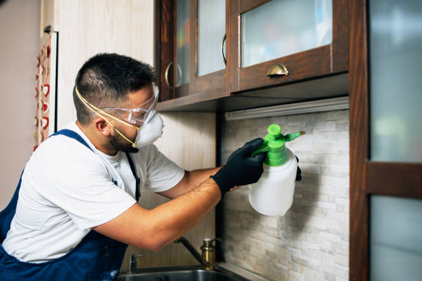 Best Mosquito Control Services  in Bridgman, MI