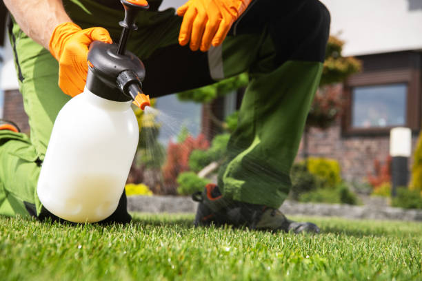 Best Insect Control  in Bridgman, MI