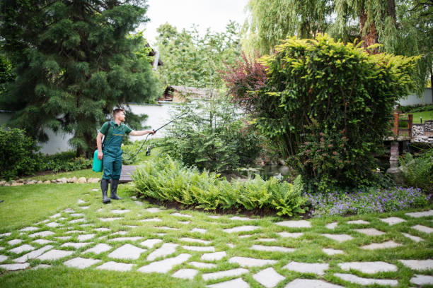 Best Wasp Removal Services  in Bridgman, MI