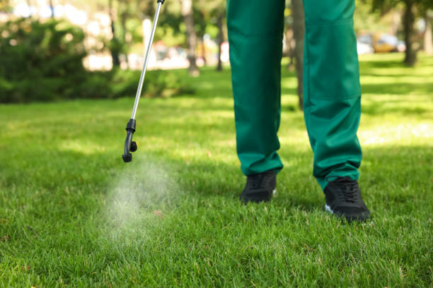 Best Local Pest Control Services  in Bridgman, MI