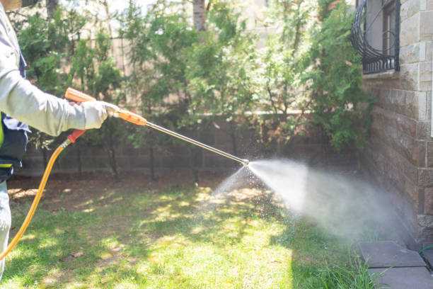 Professional Pest Control in Bridgman, MI