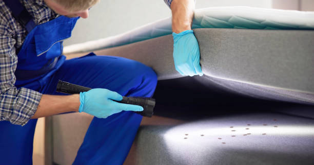 Best Exterminator Services  in Bridgman, MI