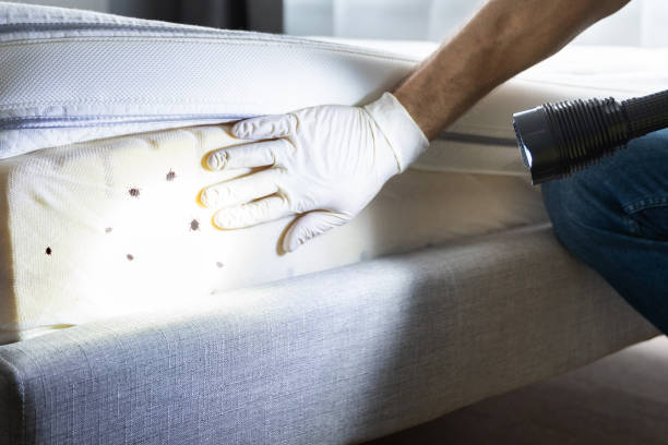 Best Residential Pest Control  in Bridgman, MI